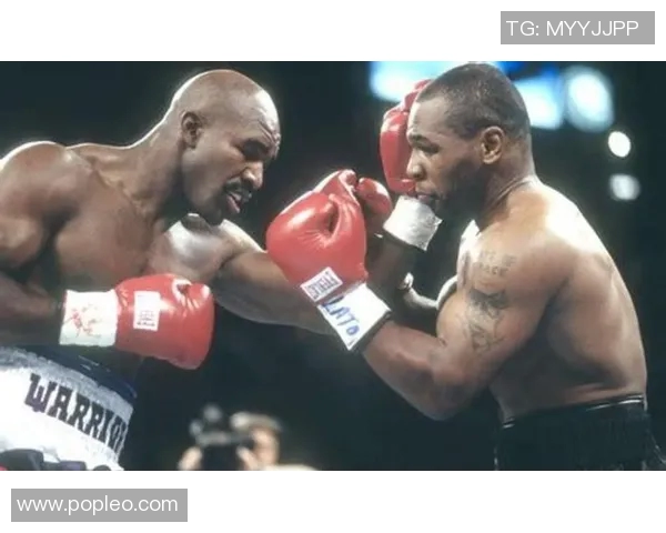 霍利菲尔德与托尼精彩对决视频回顾及赛后分析