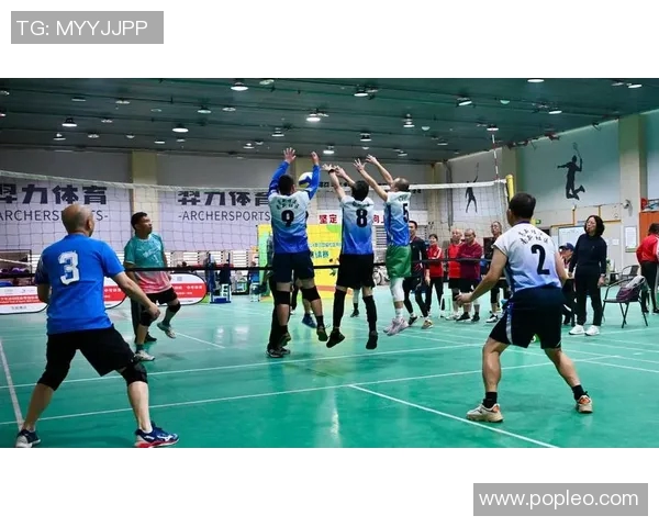 刘静独家分享排球心得与技巧助你提升球技的秘诀与经验