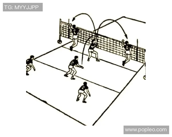 深入分析杭州排球队的防守策略与战术特点