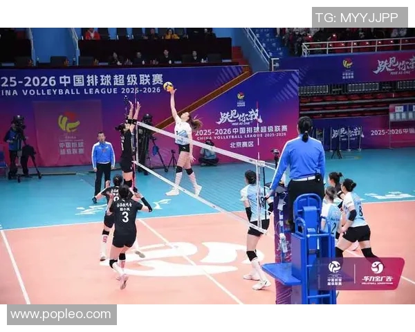 深圳排球队耐力揭秘：排球巨献背后的坚持与奋斗