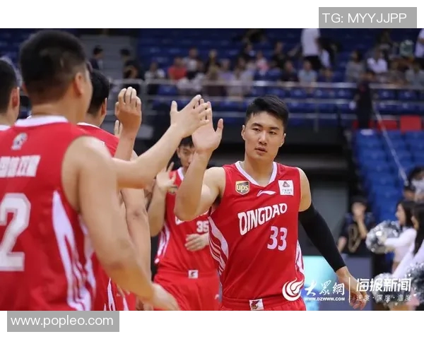 辽宁对阵青岛精彩赛事在线直播全程回顾与分析